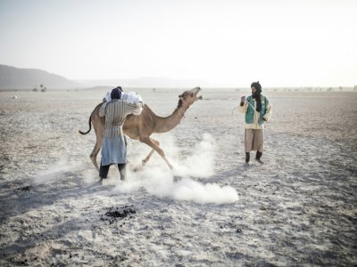 Des habitants de Tichitt, le 28 janvier 2020 en Mauritanie - JOHN WESSELS [AFP]