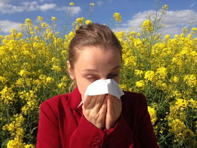 La saison des allergies aux pollens a débuté il y a quelques semaines et va encore se poursuivre. Illustration