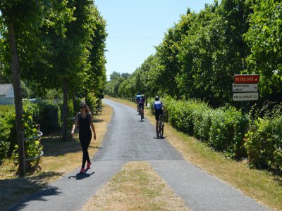 Pour en savoir plus sur les circuits vélo de Seine-Maritime, vous pouvez télécharger gratuitement un guide édité par le Département sur le site seine-maritime-tourisme.com.