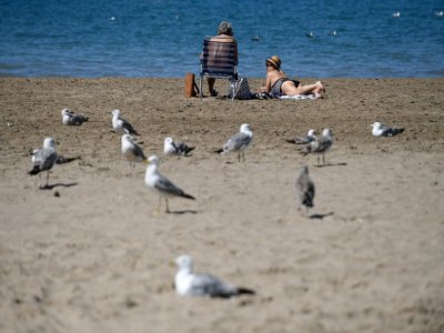 La plage de Roses, en Espagne, le 21 juin 2020 - Josep LAGO [AFP]