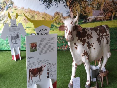 La vache du Musée du camembert vous accueille à Vimoutiers. - Musée du Camembert