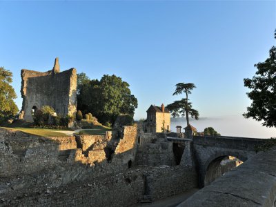Les vestiges du château de Domfront sont à découvrir, en accès libre toute l'année, ou sur réservation pour une visite guidée. - Stéphane Maurice - CRT Normandie