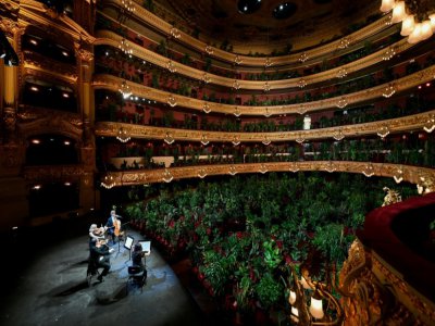 El cuarteto Uceli actúa para un público formado por plantas durante un concierto creado por el artista español Eugenio Ampudia, el 22 de junio de 2020 en el Gran Teatro Liceu de Barcelona - LLUIS GENE [AFP]