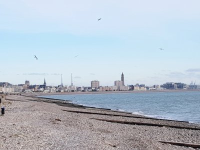 Reprise des traversées entre Le Havre et Deauville, cet été. Des visites guidées de l'Estuaire seront proposées en nouveauté.