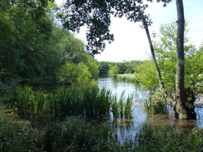 L'étang de Saint-Gervais-du-Perron, au sein du Parc naturel régional Normandie-Maine.Un sentier a été a aménagé pouvoir profiter de la faune et de la flore. - Conseil départemental de l'Orne