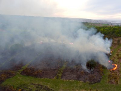 Le jeudi 25 juin, vers 14 h 30, à Saint-Pierre-de-Manneville, près de Rouen, un feu de végétation s'est déclaré sur une parcelle forestière. (Illustration) - SDIS 50