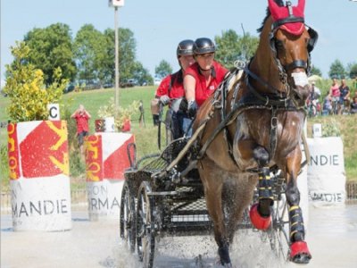 Le championnat du monde d'attelage à un cheval sera organisé en août 2022 au Haras du Pin. - Haras du Pin.