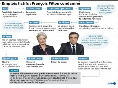 Emplois fictifs : François Fillon condamné - Clara DEALBERTO, Sabrina BLANCHARD [AFP/Archives]