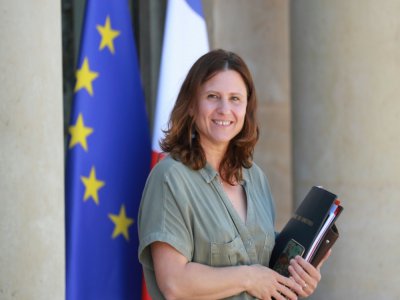 La ministre des Sports Roxana Maracineanu, le 24 juin 2020 au sortir du conseil du gouvernement au Palais de l'Elysée à Paris - Ludovic Marin [AFP/Archives]