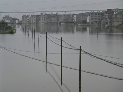 Plaine inondée dans la région de Poyang, dans le centre de la Chine, le 16 juillet 2020 - Hector RETAMAL [AFP]