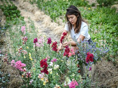 Masami-Charlotte Lavault entretient ses fleurs dans son jardin parisien, le 1er juillet 2020 - STEPHANE DE SAKUTIN [AFP/Archives]
