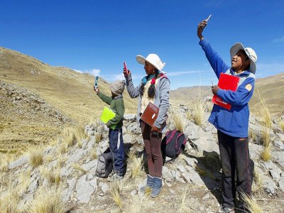 Des enfants péruviens à la recherche de signal au sommet d'une colline pour suivre leurs cours à distance dans le district de Manazo, dans les Andes péruviennes le 24 juillet 2020 - Carlos MAMANI [AFP]