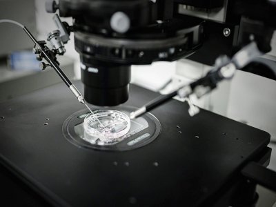 Injection cytoplasmique de sperme au laboratoire de reproduction biologique CECOS de l'hôpital Tenon, le 24 septembre 2019 à Paris - Philippe LOPEZ [AFP/Archives]
