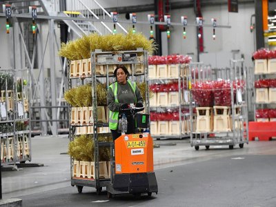 Une employée du marché Royal Flora Holland d'Alsmeer, en
banlieue d'Amsterdam, le 11 décembre 2018 aux Pays-Bas - EMMANUEL DUNAND [AFP/Archives]
