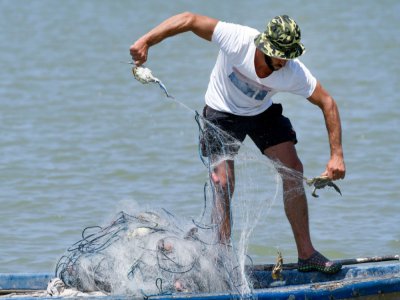 Adrian Kola, un pêcheur, retire des crabes bleus de son filet sur la rivière du village d'Adriatik, près du lagon de Divjakë en Albanie le 24 juillet 2020 - Gent SHKULLAKU [AFP]