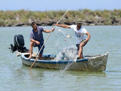 Adrian Kola, un pêcheur, retire des crabes bleus de son filet sur la rivière du village d'Adriatik, près du lagon de Divjakë en Albanie le 24 juillet 2020 - Gent SHKULLAKU [AFP/Archives]