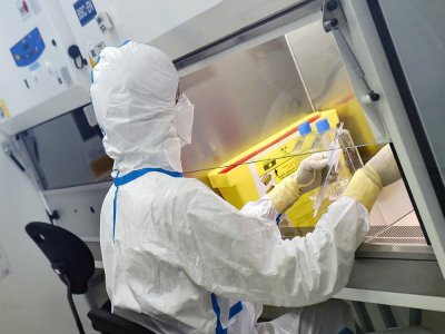 Un technicien travaille sur des cellules infectées par le virus du Sars-Cov-2 au laboratoire de la société de biotechnologie Valneva, le 30 juillet 2020 à Saint-Herblain, près de Nantes - JEAN-FRANCOIS MONIER [AFP]