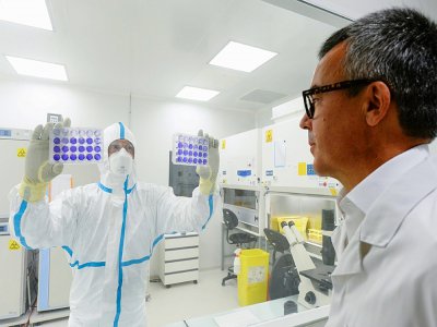 Le directeur général, Franck Grimaud (d), dans le laboratoire de la société de biotechnologie Valneva où un technicien montre des plaques de cellules infectées par le virus du Sars-Cov-2, le 30 juillet 2020 à Saint-Herblain, près de Nantes - JEAN-FRANCOIS MONIER [AFP]