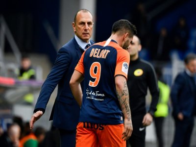 L'entraîneur de Montpellier Michel Der Zakarian et l'attaquant Andy Delort, lors d'un match contre Saint-Etienne, le 9 février 2020 à La Mosson - GERARD JULIEN [AFP]
