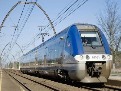 Un train TER a violemment percuté un homme et des chiens ce vendredi 7 août vers 11h sur la ligne SNCF Lison-Saint-Lô à hauteur de la Meauffe. Ils sont décédés sur le coup, d'après les sapeurs-pompiers. -  x