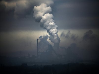 L'ensemble des émissions dues à la combustion du charbon, du pétrole et du gaz devraient diminuer de 20% en 2020 - INA FASSBENDER [AFP/Archives]