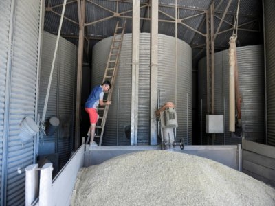 L'agriculteur Sébastien Méry dans le hangard qui abrite son silo à grain, à Chevannes le 7 août 2020 - ERIC PIERMONT [AFP]