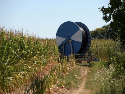 Système d'irrigation dans un champ de maïs à Chevannes le 7 août 2020 - ERIC PIERMONT [AFP]