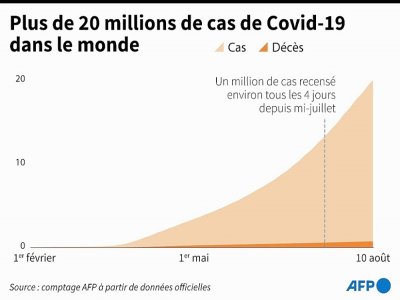 Plus de 20 millions de cas de Covid-19 dans le monde - Robin BJALON [AFP]