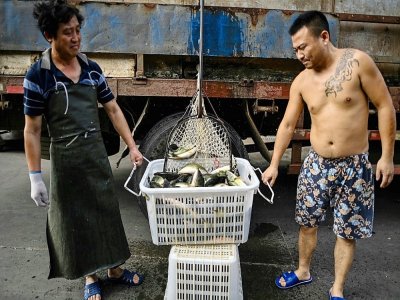 Des travailleurs portent un seau sur le marché aux poissons de Wuhan le 6 août 2020 - Hector RETAMAL [AFP]