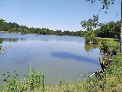 L'étang de la Croix Lamirault à L'Aigle, est ouvert à la promenade depuis le mercredi 12 août. - Tweeter CDC Pays L'Aigle