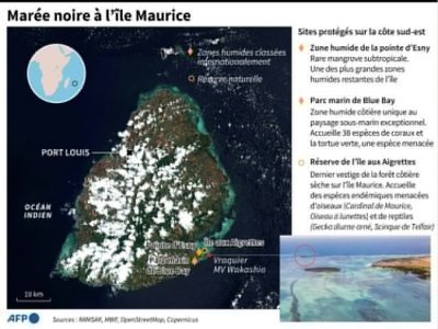 Marée noire à l'île Maurice - Gillian HANDYSIDE [AFP]