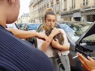 Cloé, la jeune femme qui a entendu le chat dans la rue Guillaume-le-Conquérant à Caen, a porté le félin une fois extrait du moteur, le lundi 17 août.