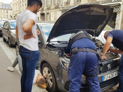 Tous l'après-midi, les passants et la police municipale ont essayé de sortir le chat.