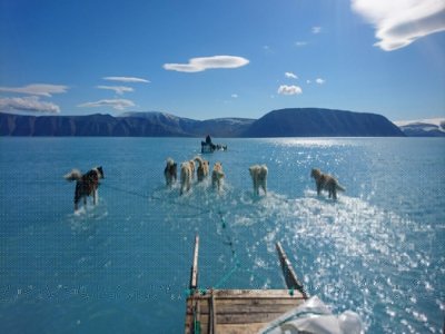 Photo d'archives, prise le 13 juin 2019 par Steffen Olsen du Centre pour l'Océan et le Pôle de l'Institut Météorologique Danois, montrant des chiens de traîneau progressant péniblement dans un fjord dont la banquise est recouverte par cinq ou six cen - Steffen Olsen [Centre for Ocean and Ice at the Danish Meteoroligical Institute/AFP/Archives]