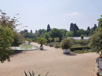 Le Jardin des plantes de Rouen