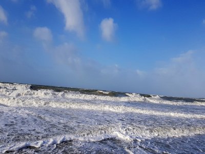 En raison des grandes marées, quatre plages de la Manche sont interdites à la baignade jusqu'à nouvel ordre.
