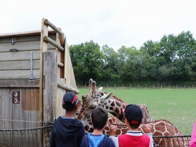 300 000 personnes viennent visiter le zoo de Cerza chaque année. Après la fermeture du parc liée au coronavirus, le parc a vu son chiffre d'affaires diminuer de 1,2 million d'euros. - Léona Bisegna