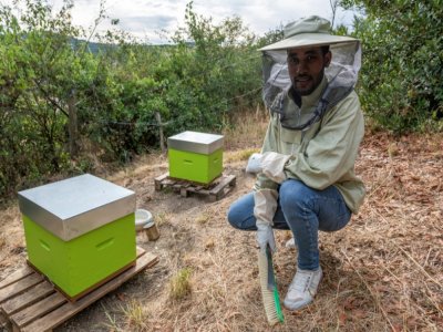 Le réfugien érythréen Abel Yosef Abraham devant les deux ruches qu'il vient d'acquérir, le 26 août 2020 à Pessat-Villeneuve, dans le Puy-de-Dôme - Thierry ZOCCOLAN [AFP]