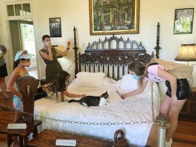 Quelques touristes prennent en photo un chat à six doigts dans la maison d'Ernest Hemingway à Key West, en Floride, le 30 août 2020 - Leila MACOR [AFP]