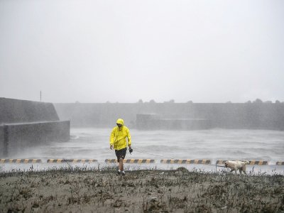 Un homme marche avec son chien à Ichikikushikino (Japon) le 7 septembre 2020 après le passage du typhon Haishen - CHARLY TRIBALLEAU [AFP]