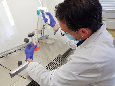 A Caen, des chercheurs sont parvenus à isoler une souche très proche du virus qui circule sur les humains.
