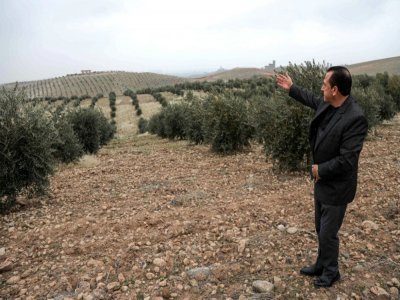 Suleiman Sheikho, devant son champ d'oliviers dans les environs d'Arbil (Kurdistan irakien), le 22 février 2020 - SAFIN HAMED [AFP]