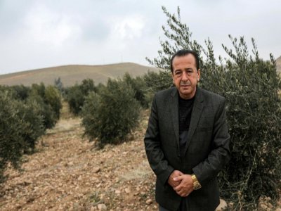 Suleiman Sheikho, dans son champ d'oliviers à Arbil dans le Kurdistan irakien, le 22 février 2020 - SAFIN HAMED [AFP/Archives]