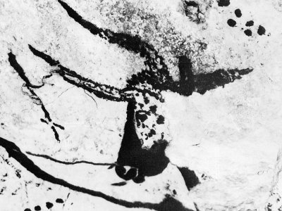 Photo non datée d'un des motifs vieux de 13.000 ans, peint sur une paroi de la grotte de Lascaux, dans la commune de Montignac - - [AFP/Archives]