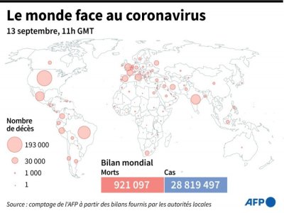 Nombre de morts liés au coronavirus officiellement annoncés par pays, au 13 septembre à 11h GMT - Simon MALFATTO [AFP]