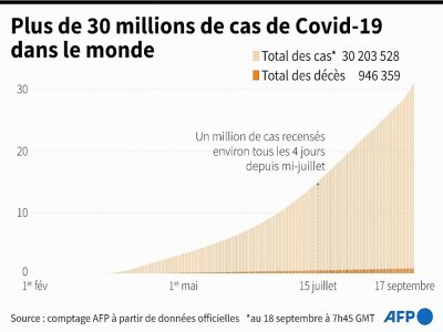 Plus de 30 millions de cas de Covid-19 dans le monde - Robin BJALON [AFP]