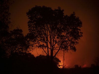 Incendie au Pantanal près de la route Transpantaneira, le 12 septembre 2020 au Brésil - Mauro PIMENTEL [AFP/Archives]