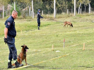 Des chiens sont entraînés à la recherche de mine au centre de dressage global de l'Aide populaire norvégienne (APN), le 20 septembre 2020, près de Sarajevo, en Bosnie - ELVIS BARUKCIC [AFP]