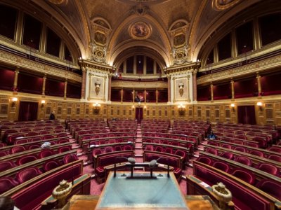 L'hémicycle du Sénat à Paris - LIONEL BONAVENTURE [AFP]