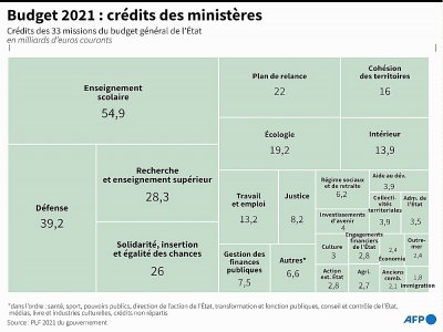 Budget 2019 : crédits des ministères - [AFP]